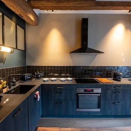 La Maison De L'eclusier Lejlighed Strasbourg